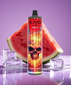 JNR Calavera 11000 Puffs 21ml 1.0ohm Mesh Type-C 850mAh Καρπούζι Πάγος