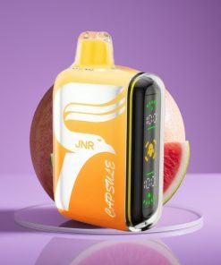 JNR Capsule 15000 Puffs 20ml 850mAh 20W Διπλό Πλέγμα Καρπούζι Irchee