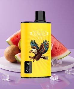 JNR EAGLE Smart 23000 Ψιχίες Ψηφιακή Οθόνη 1.0ohm Πλέγμα Ροή Αέρα Κίβι Καρπούζι Πάγος