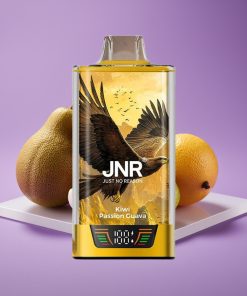 JNR Falcon Pro 28000 Έξυπνη Οθόνη Διπλό Πλέγμα USB-C 30ml Κυκλάμινο Πασιφλόρα Γκουάβα