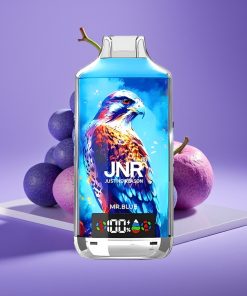 JNR Falcon X 18000 Puffs 750mAh 24ml Δίπλω Πλέγμα Display Ψηφιακό Type-C Κυριος Μπλε