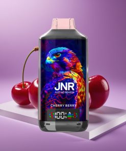 JNR Falcon X 18000 Puffs 750mAh 24ml Dual Mesh Digital Type-C Κεράσι Μούρο