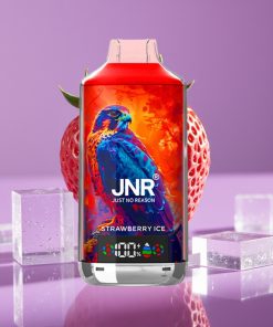 JNR Falcon X 18000 Puffs 750mAh 24ml Dual Mesh Digital Type-C Φράουλα Πάγος