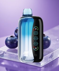 JNR Flex Ice 21000 Πνίγματα Ρυθμιζόμενο Πάγο Προσαρμοζόμενη Ροή Οθόνη Αφής Blueberry Ice