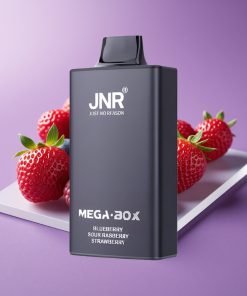 JNR Mega Box 25000 Καπνίς Dual Mesh Type-C Φράουλα Βατόμουρο Μπλε Μύρτιλο