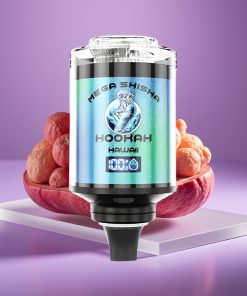 JNR Mega Shisha Hookah 100K Χαβάη 60ml 2200mAh Type-C