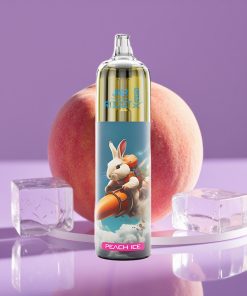 JNR Rocket-X 12400 Ροδάκινο Πάγος Ρυθμιζόμενη Ροή RGB Πλέγμα 850mAh Type-C