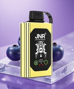 JNR Shisha Hookah Box 20500 Puffs HD 1000mAh 25ml Dual Mesh Type-C Μπλε Βατόμουρο Πάγος