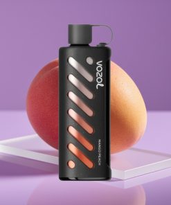 VOZOL Gear Shisha 25000 Puffs Dual Mesh Mango Peach (Μάνγκο Ροδάκινο) S.i.L.C Tech 1000mAh