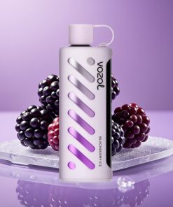 VOZOL Gear Shisha 25000 Puffs Dual Mesh Tech 1000mAh Βατόμουρο Πάγο