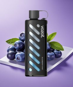 VOZOL Gear Shisha 25000 Puffs S.i.L.C Tech Dual Mesh 1000mAh Μπλε Βατόμουρο Μέντα