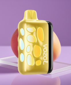 VOZOL RAVE 40000 Φωτεινό Σχέδιο 270° Συγχρονισμένη Μουσική Φόρτιση 80% σε 20 Λ Μάνγκο Ροδάκινο