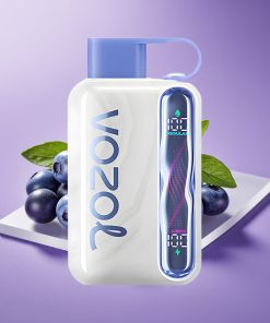 VOZOL STAR 40000 Disposable Vape 1000mAh Type-C Βατόμουρο Μέντα